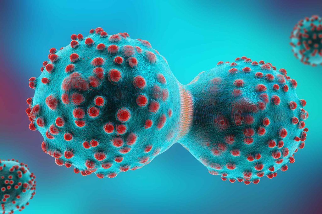 Professor Vassilis Gorgoulis Publishes Study in the High-impact Journal Molecular Cancer