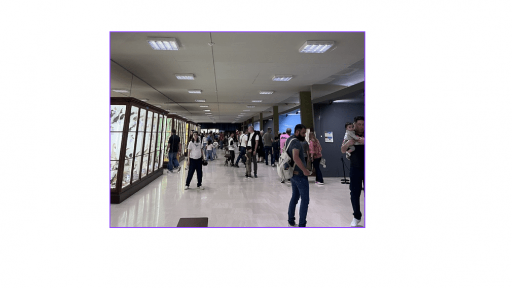 museuma