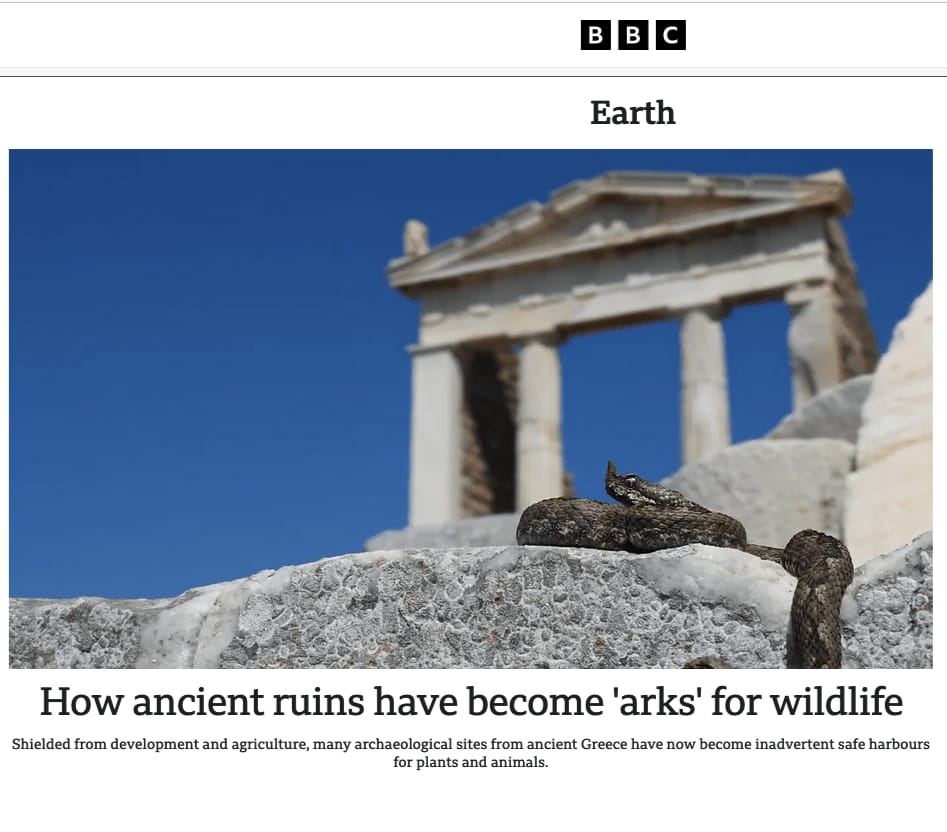 Άρθρο στο BBC για το ΒΙΑΣ: Διεθνής αναγνώριση για το καινοτόμο έργο καταγραφής της βιοποικιλότητας σε αρχαιολογικούς χώρους που έφερε εις πέρας το ΕΚΠΑ