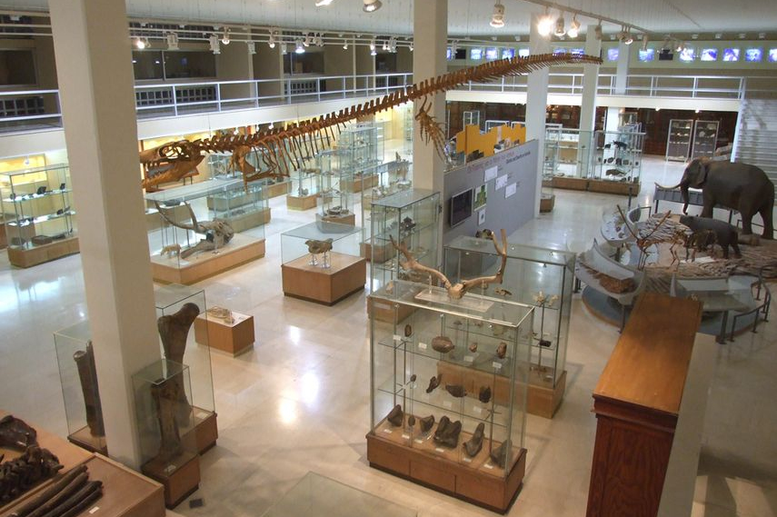 csm museum paleontology 42368f092a