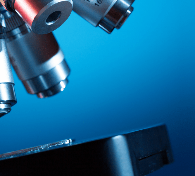 CIVIS New Course “AFM BioMed Summer School 2022”