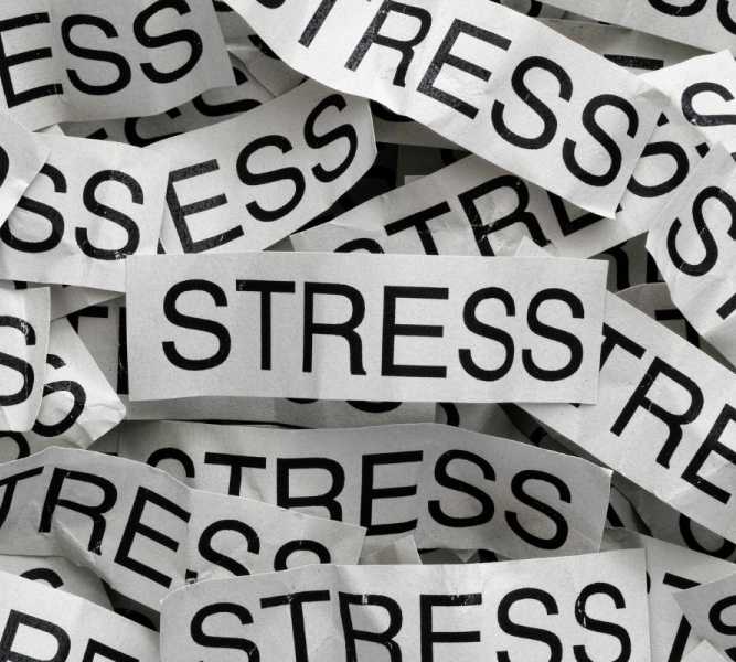 mini programme on emotion and stress regulation 667x600 1