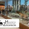 Το Μουσείο Ζωολογίας θα είναι ανοιχτό την Κυριακή 11 Δεκεμβρίου 2022