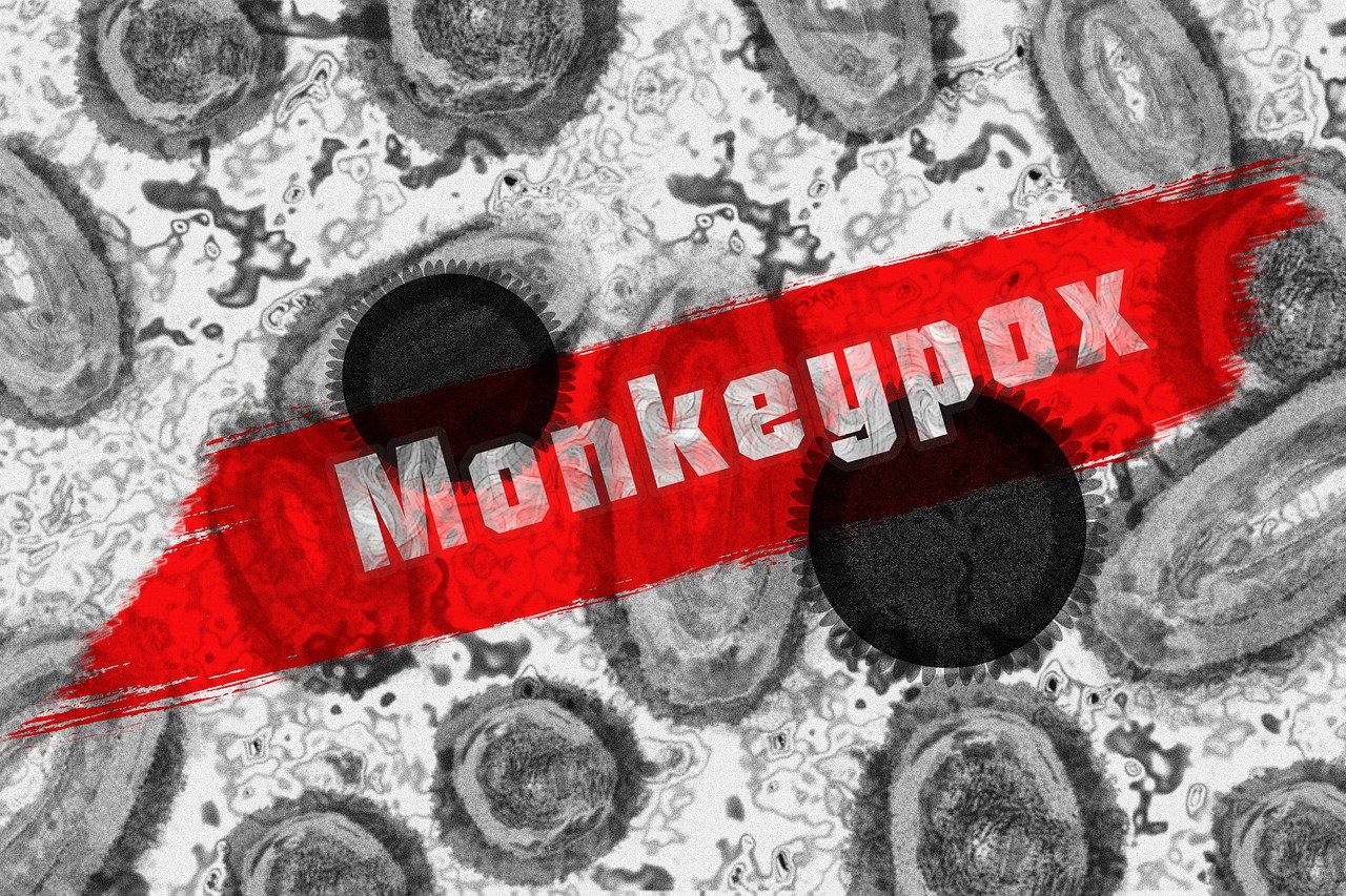 monkey pox g79075fd44 1280