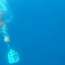 Τοποθετήθηκε το υποθαλάσσιο παρατηρητήριο στον Κολούμπο (Σαντορίνη) από την ερευνητική ομάδα του “SANTORY” που συντονίζει το ΕΚΠΑ