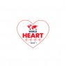 Παγκόσμια Ημέρα της Καρδιάς: Προστατεύοντας την Καρδιά της Ζωής μας – Μήνυμα του Πρύτανη του ΕΚΠΑ Καθηγητή Γεράσιμου Σιάσου