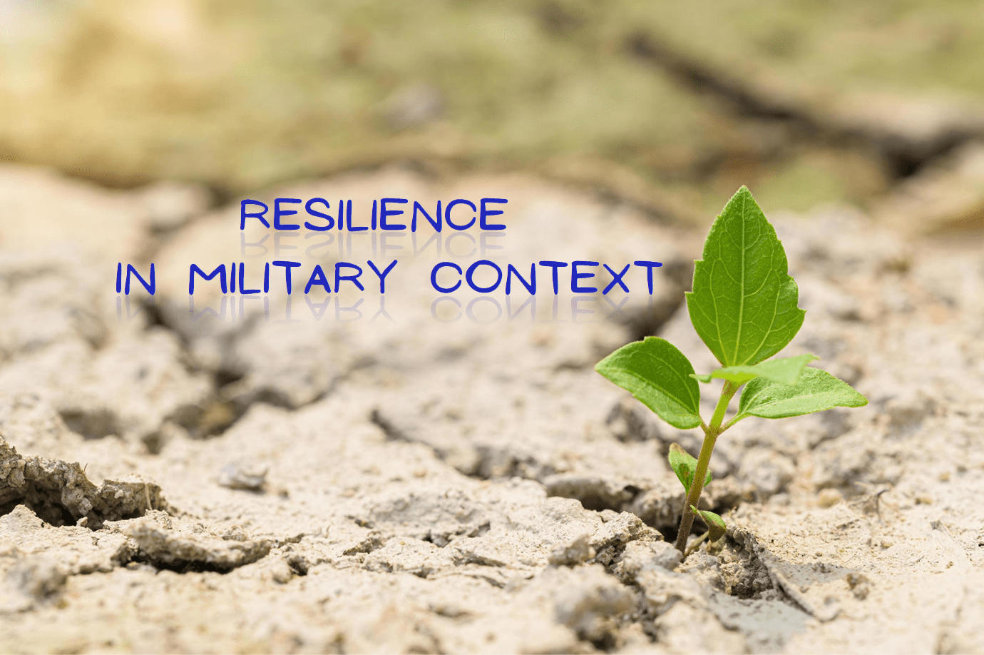 Army resilience