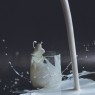Κέντρο «Αρχιμήδης» Ε.Κ.Π.Α.: Νέα κατάθεση διπλώματος ευρεσιτεχνίας στον ΟΒΙ για την ανίχνευση νοθείας στο γάλα