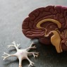 Κέντρο «Αρχιμήδης» Ε.Κ.Π.Α.: Νέα κατάθεση διπλώματος ευρεσιτεχνίας στον ΟΒΙ που αφορά σε αναστολείς της νόσου Alzheimer
