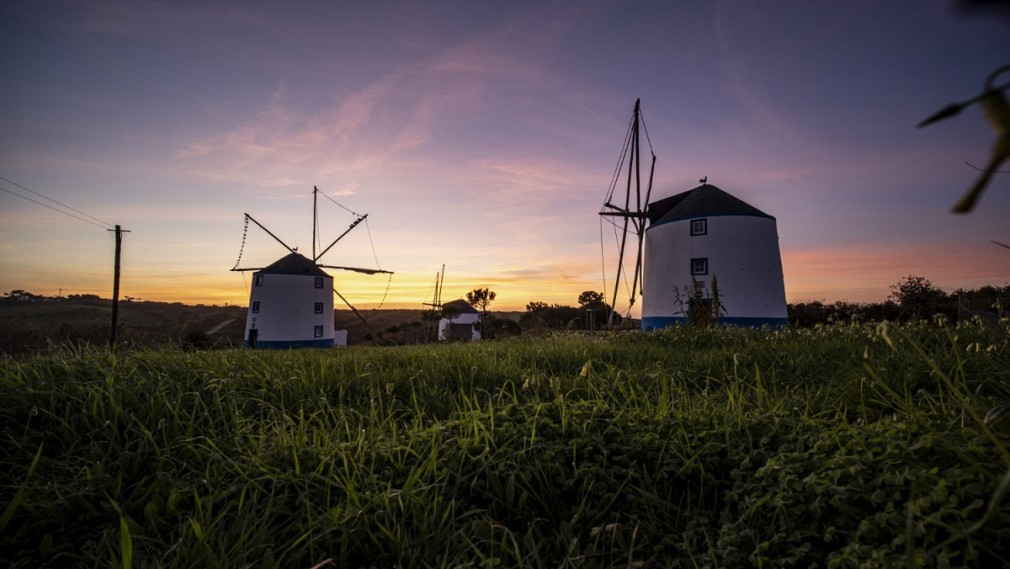 windmills