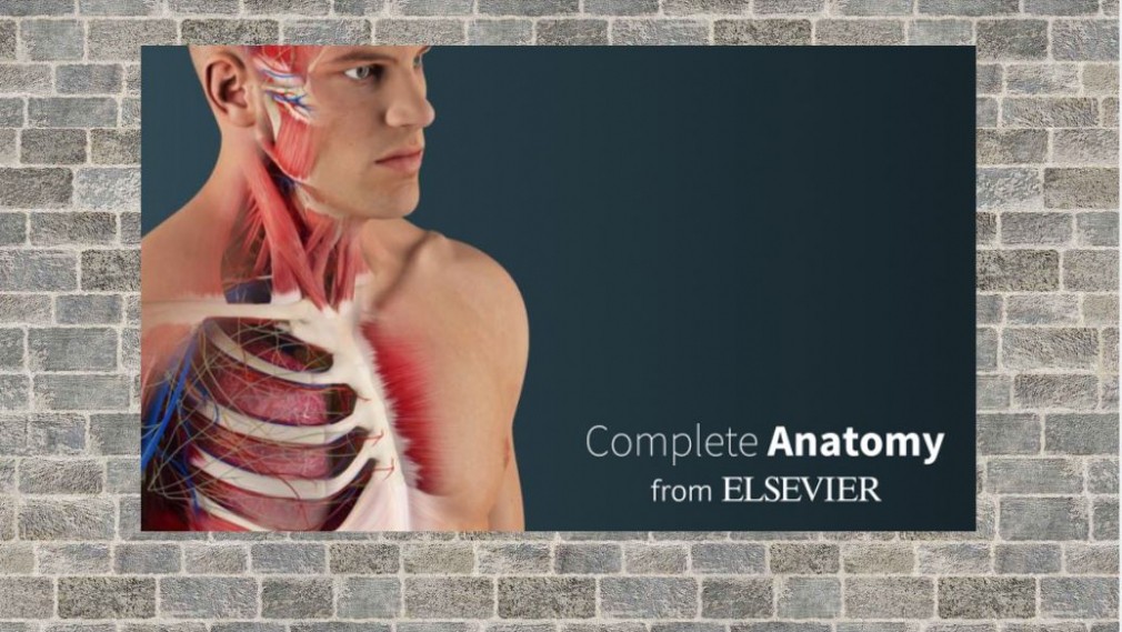 complete anatomy3