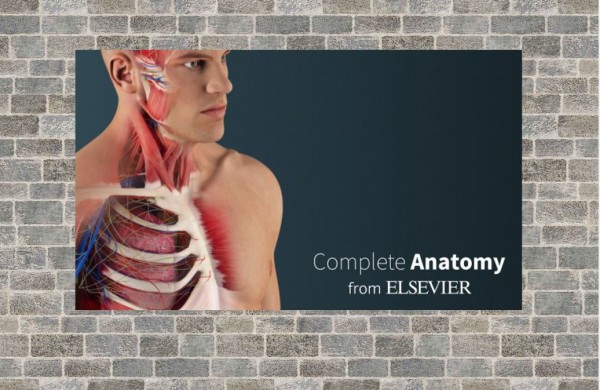 complete anatomy3