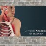 Δοκιμαστική πρόσβαση στην εφαρμογή Complete Anatomy του Elsevier