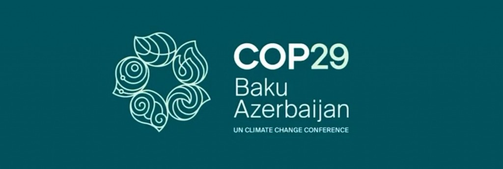 Cop29 website banner