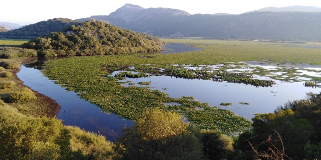 Εικόνα3