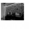 Παρουσίαση του video art project Engineering Regeneration από τους φοιτητές του Τμήματος Ψηφιακών Τεχνών και Κινηματογράφου