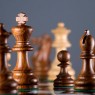 Διεξαγωγή φοιτητικού πρωταθλήματος σκάκι του ΕΚΠΑ για το 2025 [3 Ιουνίου ]