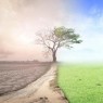 Business Series: «Climate Change in Internal Audit»