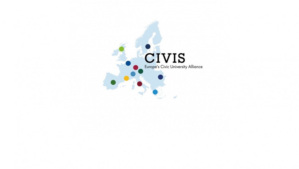 hub cover civis