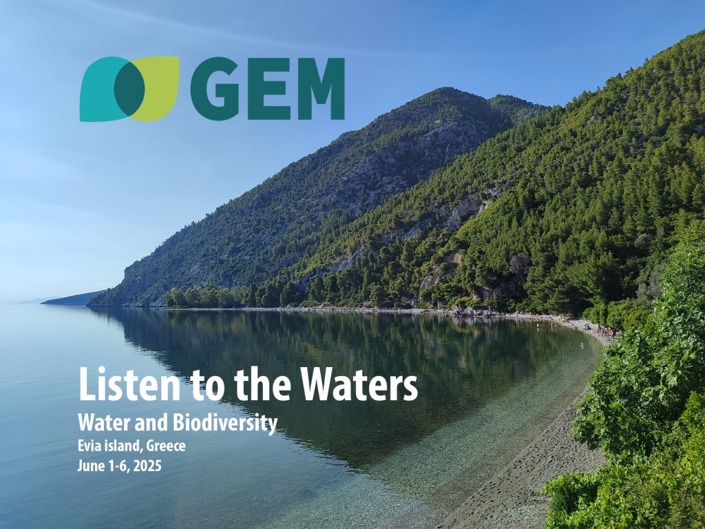 gem evia1