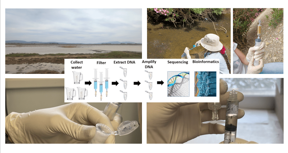 ΕΚΠΑ: Παρακολούθηση της Βιοποικιλότητας με Περιβαλλοντικό DNA σε Υγροτόπους Νησιών του Αιγαίου