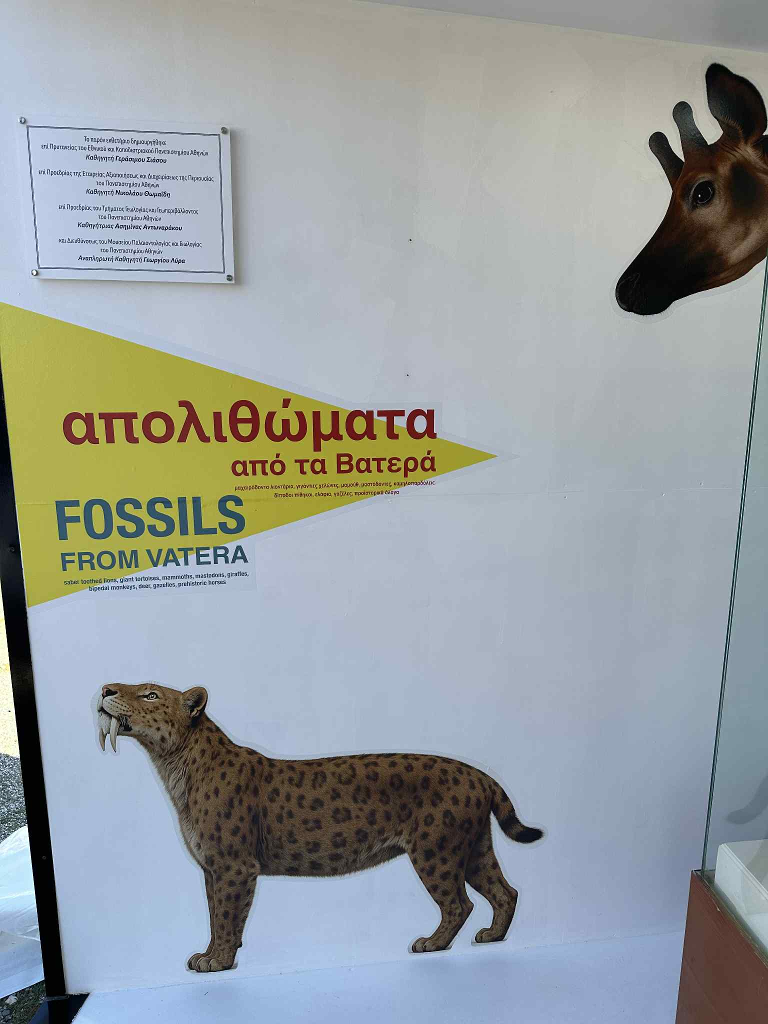 ΕΚΘΕΤΗΡΙΟ ΒΑΤΕΡΑ 8