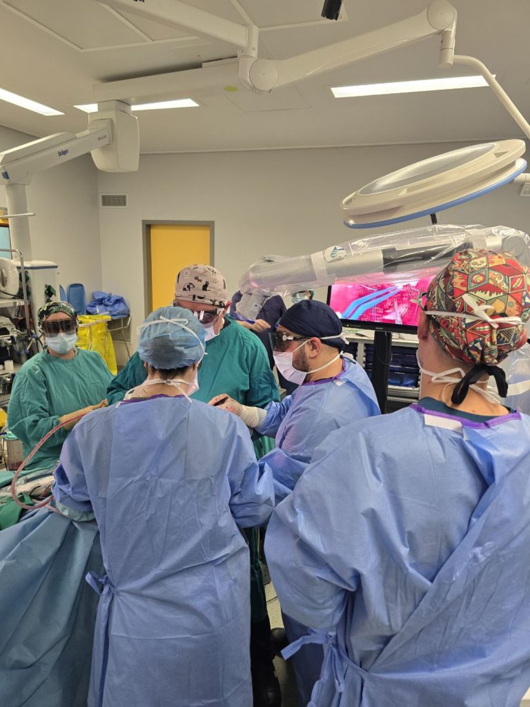 εικόνα Viber 2025 11 19 22 43 01 335