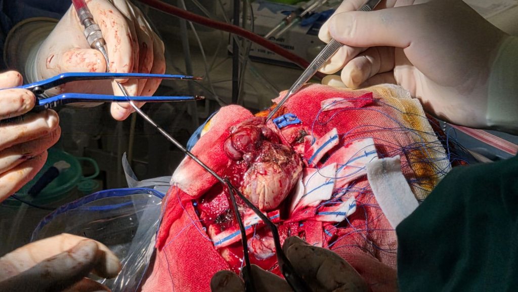 εικόνα Viber 2025 11 19 22 43 02 208