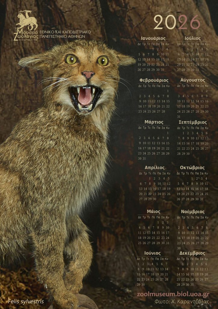 Επιτοίχιο 1