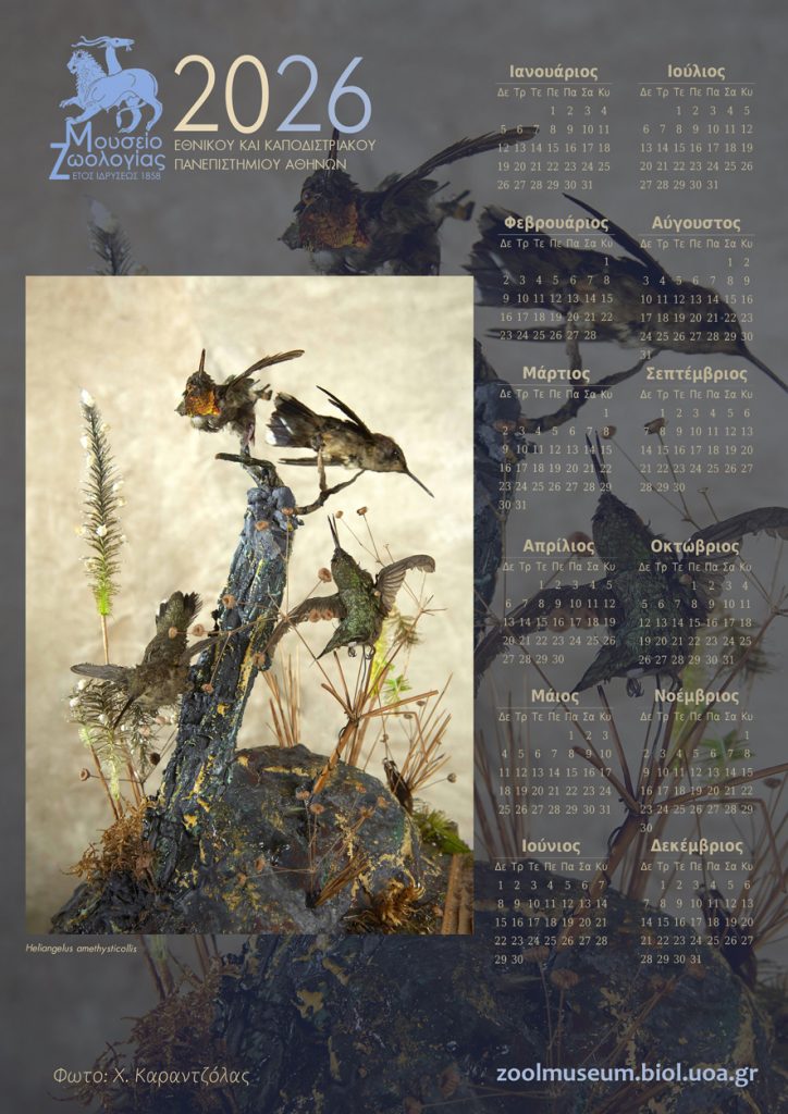 Επιτοίχιο 2