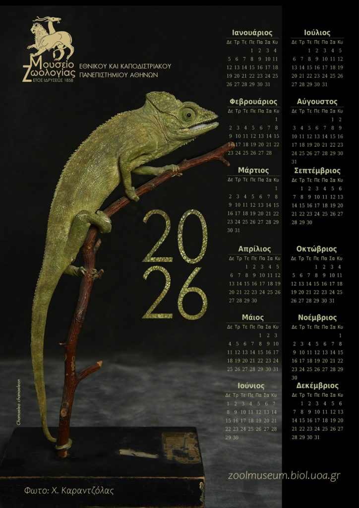 Επιτοιχιο 3