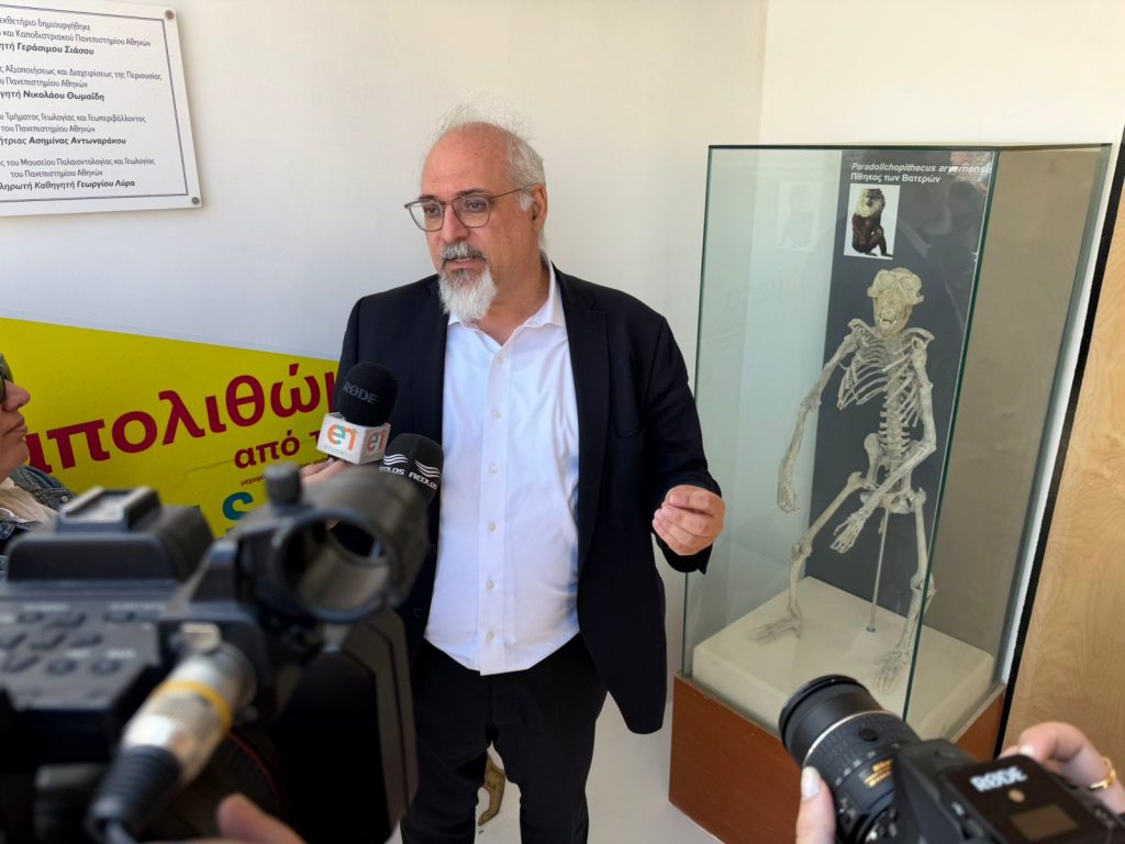 WhatsApp Image 2026 05 14 at 18.08.03 (1)